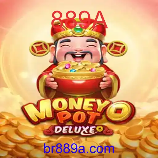 MoneyPotDELUXE